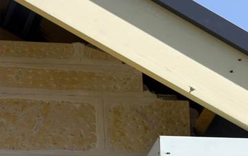 soffit repair Bracon Ash