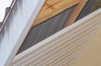 rated Bracon Ash soffit repair companies